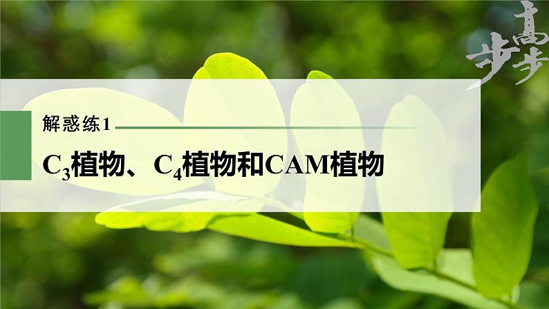 高中生物2023年高考生物一轮复习（新人教新高考） 第3单元 解惑练1　C3植物、C4植物和CAM植物课件PPT01