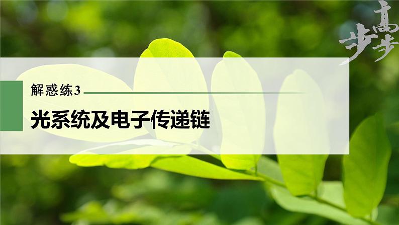 高中生物2023年高考生物一轮复习（新人教新高考） 第3单元 解惑练3　光系统及电子传递链课件PPT第1页