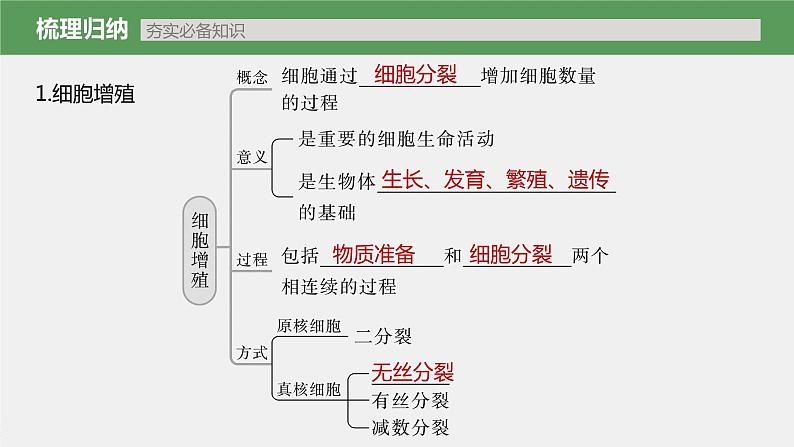 高中生物2023年高考生物一轮复习（新人教新高考） 第4单元 第1课时　细胞的增殖课件PPT第5页