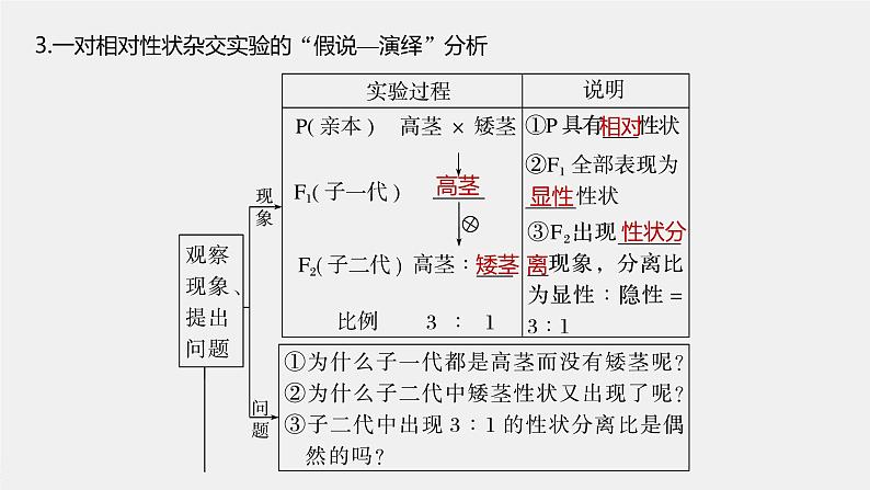 高中生物2023年高考生物一轮复习（新人教新高考） 第5单元 第1课时　分离定律的发现课件PPT第8页