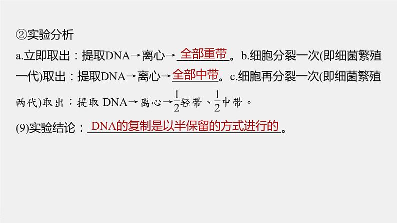 高中生物2023年高考生物一轮复习（新人教新高考） 第6单元 第3课时　DNA的复制课件PPT06