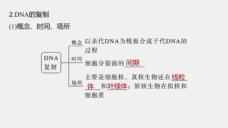 高中生物2023年高考生物一轮复习（新人教新高考） 第6单元 第3课时　DNA的复制课件PPT07