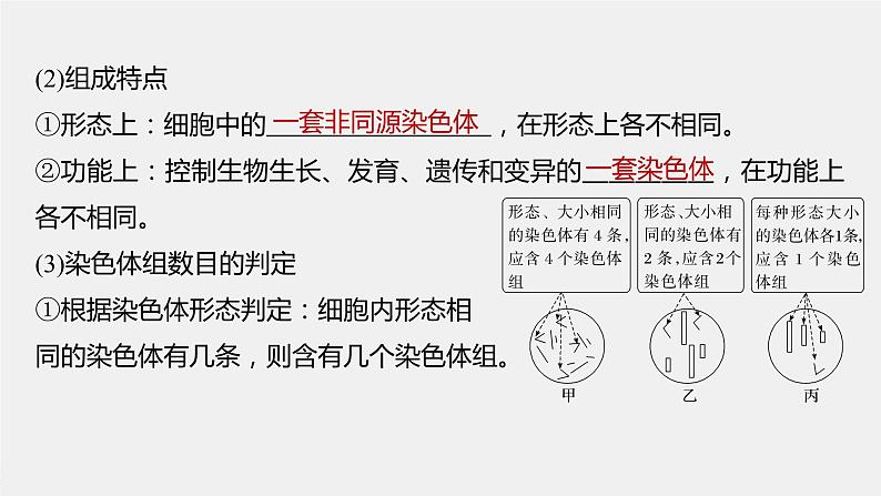 高中生物2023年高考生物一轮复习（新人教新高考） 第7单元 第2课时　染色体变异课件PPT06