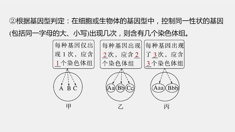 高中生物2023年高考生物一轮复习（新人教新高考） 第7单元 第2课时　染色体变异课件PPT07