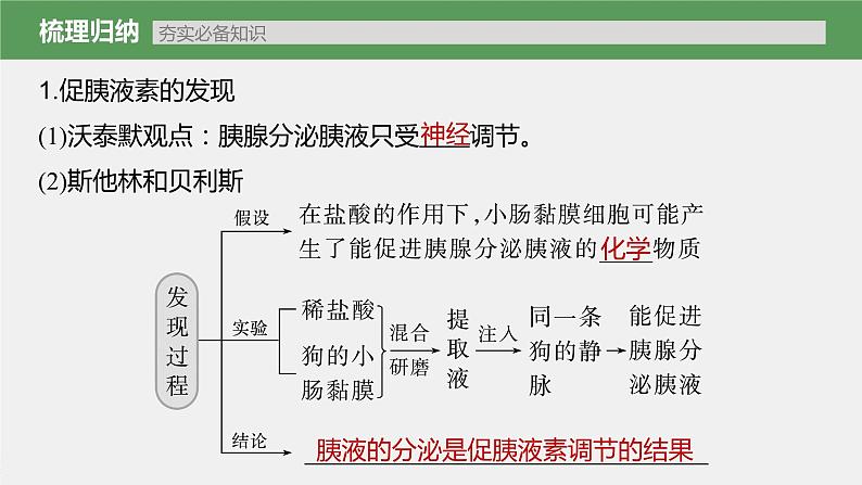 高中生物2023年高考生物一轮复习（新人教新高考） 第8单元 第4课时　激素与内分泌系统、激素调节的过程课件PPT05