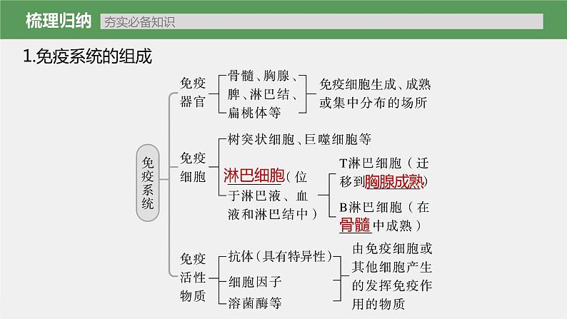 高中生物2023年高考生物一轮复习（新人教新高考） 第8单元 第6课时　免疫调节课件PPT05