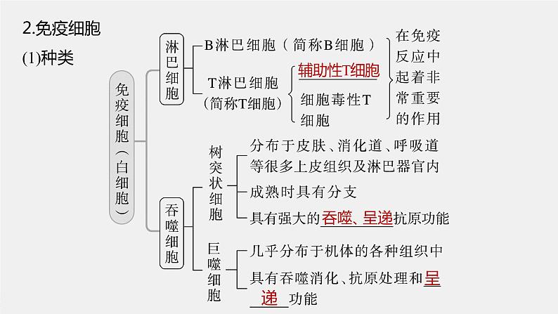 高中生物2023年高考生物一轮复习（新人教新高考） 第8单元 第6课时　免疫调节课件PPT06