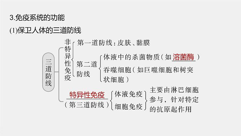 高中生物2023年高考生物一轮复习（新人教新高考） 第8单元 第6课时　免疫调节课件PPT08