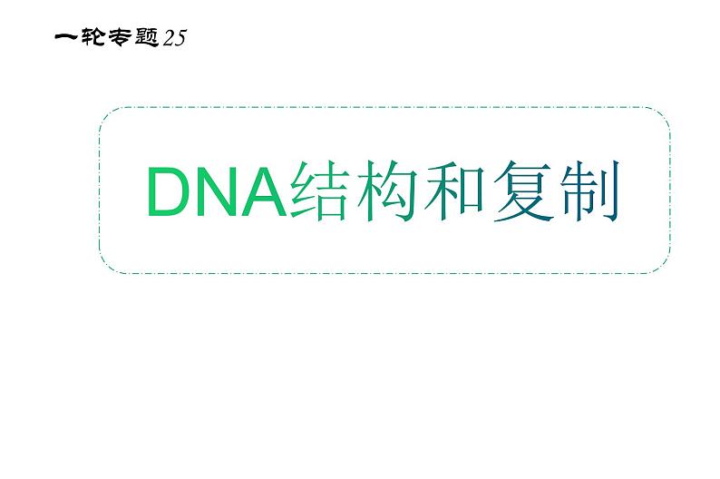 高中生物专题25 DNA的结构与复制-2021年高考生物一轮复习知识精讲课件第2页