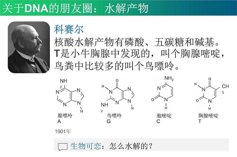 高中生物专题25 DNA的结构与复制-2021年高考生物一轮复习知识精讲课件第4页