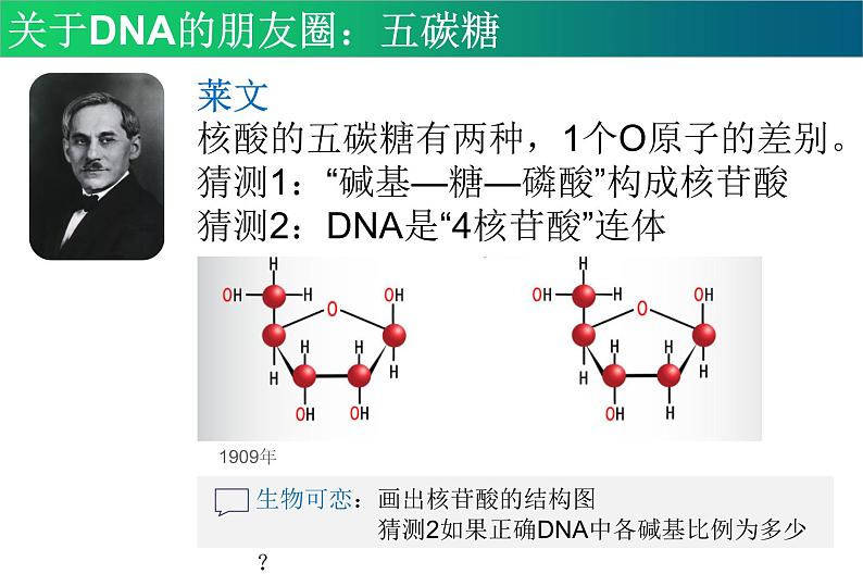 高中生物专题25 DNA的结构与复制-2021年高考生物一轮复习知识精讲课件第5页