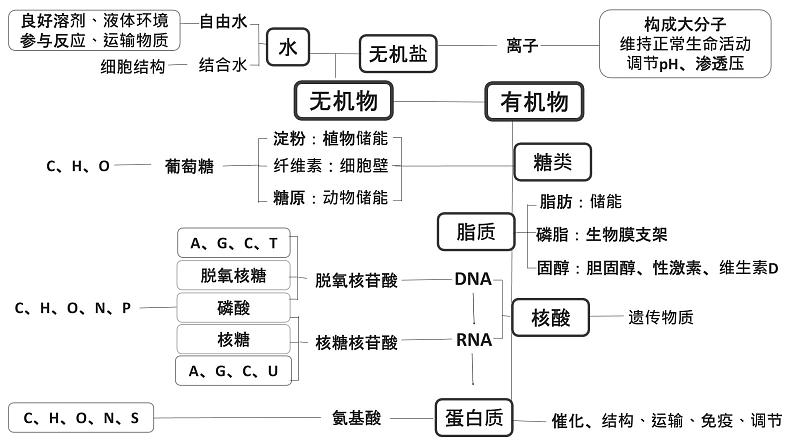 高中生物专题01 细胞中的元素、无机物-2021年高考生物一轮复习知识精讲课件第1页