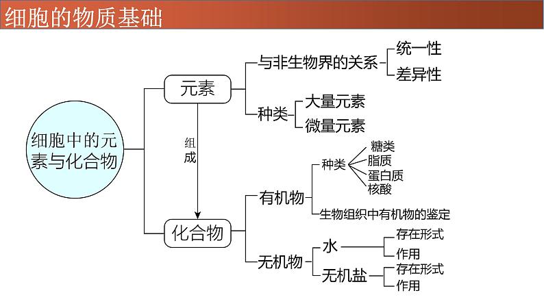 高中生物专题01 细胞中的元素、无机物-2021年高考生物一轮复习知识精讲课件第3页