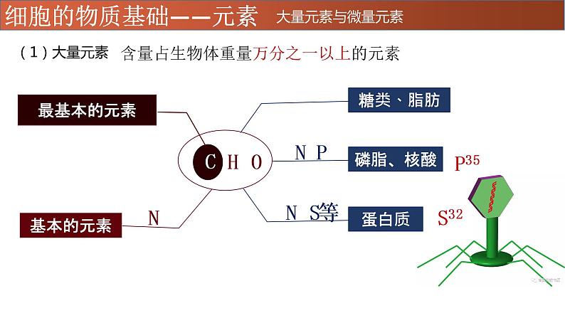 高中生物专题01 细胞中的元素、无机物-2021年高考生物一轮复习知识精讲课件第7页