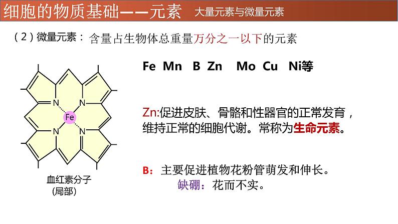 高中生物专题01 细胞中的元素、无机物-2021年高考生物一轮复习知识精讲课件第8页