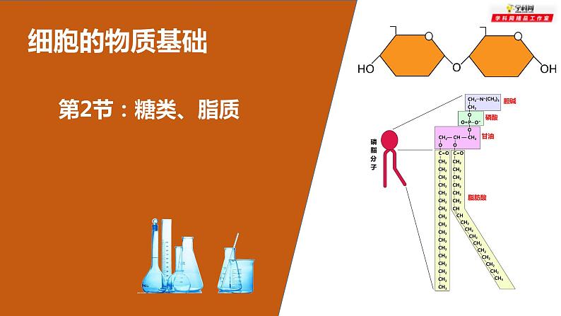 高中生物专题02 糖类、脂质-2021年高考生物一轮复习知识精讲课件第1页