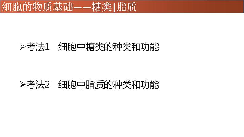 高中生物专题02 糖类、脂质-2021年高考生物一轮复习知识精讲课件第3页