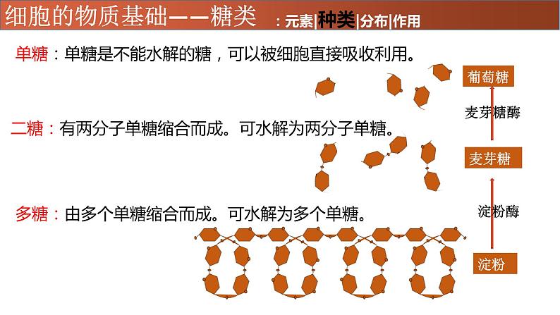 高中生物专题02 糖类、脂质-2021年高考生物一轮复习知识精讲课件第5页