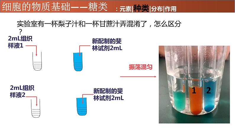 高中生物专题02 糖类、脂质-2021年高考生物一轮复习知识精讲课件第6页