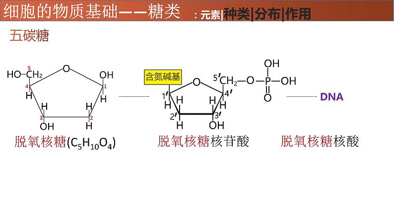 高中生物专题02 糖类、脂质-2021年高考生物一轮复习知识精讲课件第8页