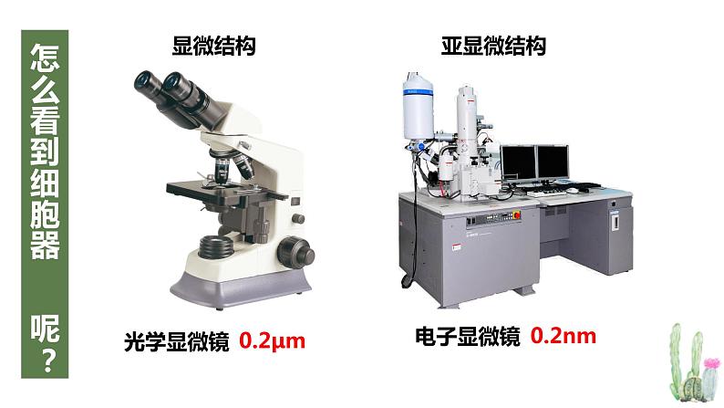 高中生物专题2.2 细胞器——系统的分工合作（优质课件）-2021年高考生物大一轮复习紧跟教材第8页