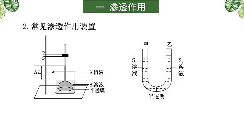 高中生物专题03 细胞的物质输入和输出-2021年高考备考生物一轮复习课件第6页