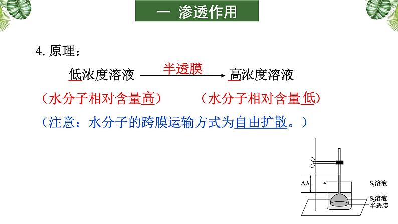 高中生物专题03 细胞的物质输入和输出-2021年高考备考生物一轮复习课件第8页