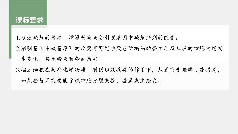 高中生物2023年高考生物一轮复习（新人教新高考） 第7单元 第1课时　基因突变和基因重组课件PPT02