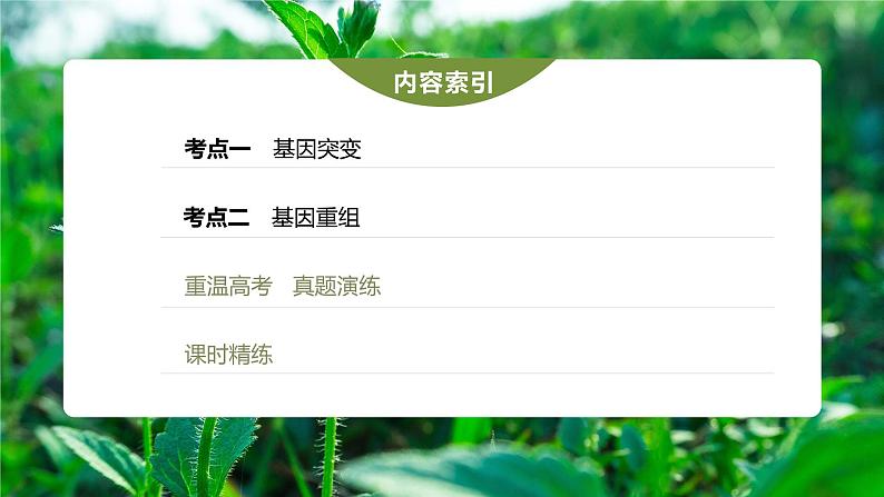 高中生物2023年高考生物一轮复习（新人教新高考） 第7单元 第1课时　基因突变和基因重组课件PPT03