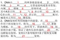 高中生物专题26 基因及表达-2021年高考生物一轮复习知识精讲课件