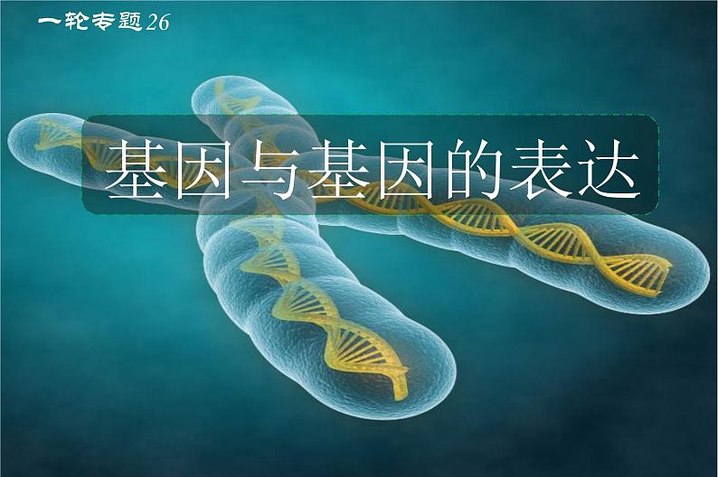 高中生物专题26 基因及表达-2021年高考生物一轮复习知识精讲课件第2页