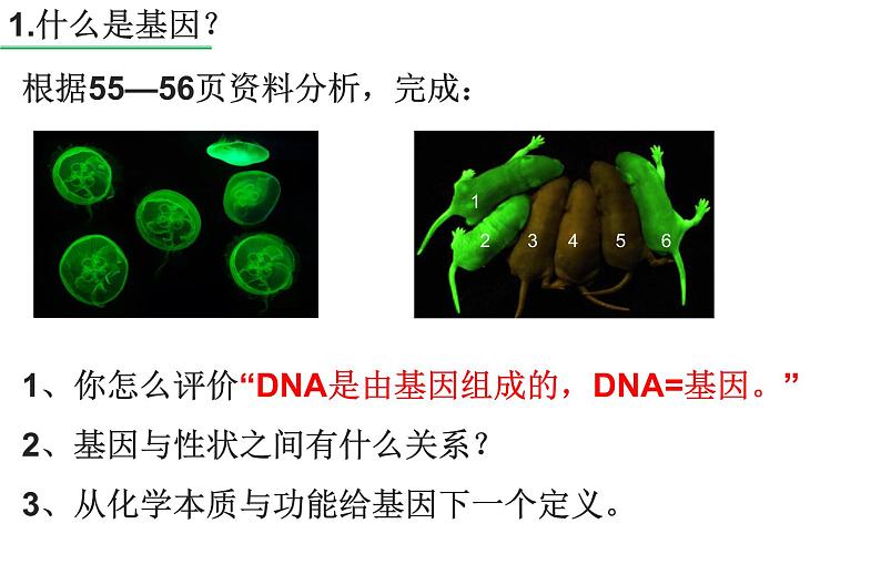 高中生物专题26 基因及表达-2021年高考生物一轮复习知识精讲课件第4页