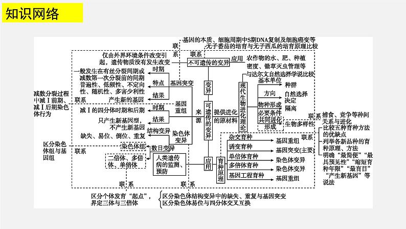 高中生物专题13 生物的进化-2020年高考备考生物二轮复习课件第3页