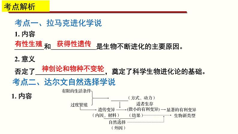 高中生物专题13 生物的进化-2020年高考备考生物二轮复习课件第4页