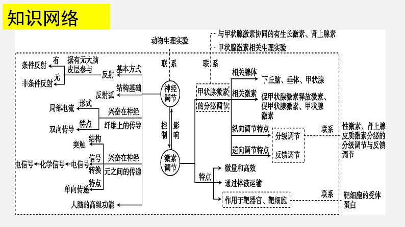 高中生物专题15 动物生命活动调节-2020年高考备考生物二轮复习课件第3页