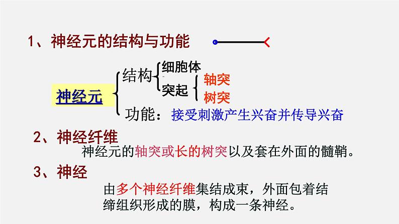 高中生物专题15 动物生命活动调节-2020年高考备考生物二轮复习课件第6页