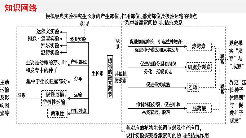 高中生物专题16 植物生物活动调节-2020年高考备考生物二轮复习课件第3页