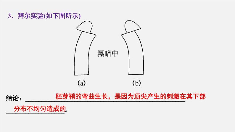 高中生物专题16 植物生物活动调节-2020年高考备考生物二轮复习课件第8页