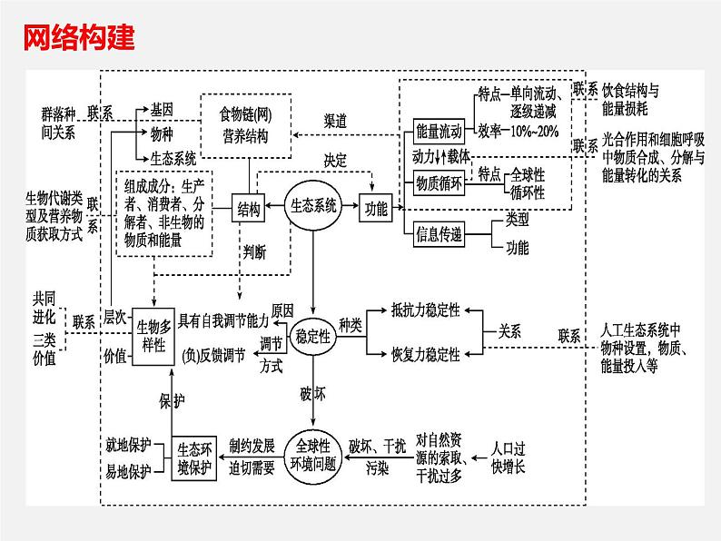 高中生物专题18 生物与环境-2020年高考备考生物二轮复习课件第3页