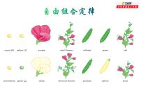 高中生物专题21 基因自由组合定律-2021年高考生物一轮复习知识精讲课件