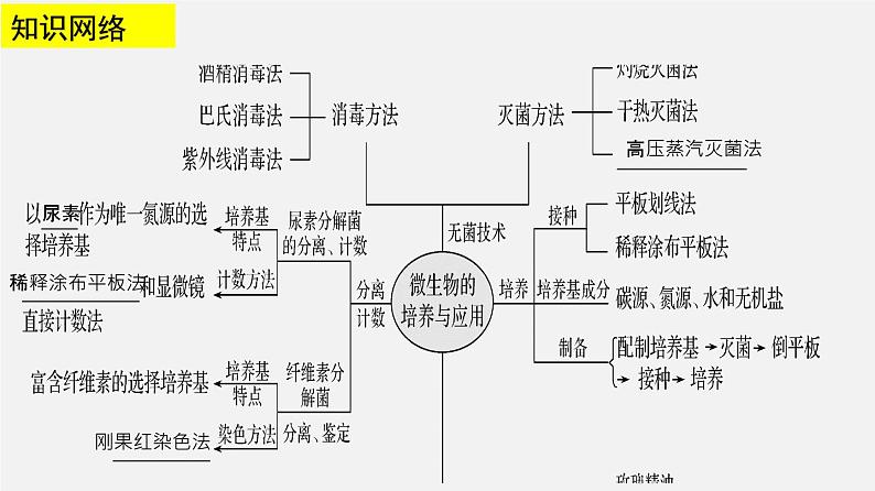 高中生物专题20 微生物的培养-2020年高考备考生物二轮复习课件第3页