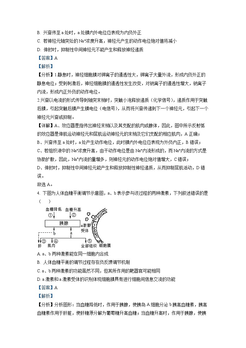 湖南省怀化市2021-2022学年高二生物上学期期末试卷（Word版附解析）03