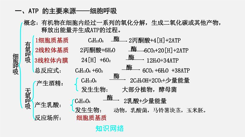 高中生物专题06 光合作用和细胞呼吸-2020年高考备考生物二轮复共6习课件第2页