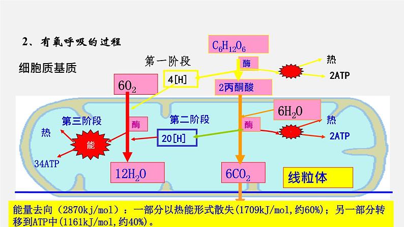 高中生物专题06 光合作用和细胞呼吸-2020年高考备考生物二轮复共6习课件第5页