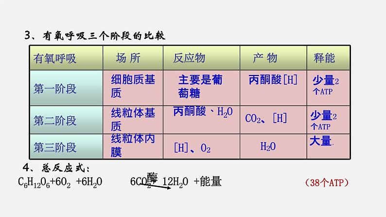 高中生物专题06 光合作用和细胞呼吸-2020年高考备考生物二轮复共6习课件第6页