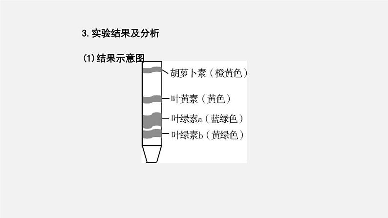 高中生物专题07 细胞代谢探究实验-2020年高考备考生物二轮复习课件第7页