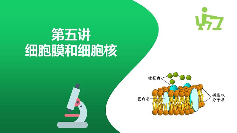 高中生物专题7.1 细胞膜和细胞核-2021年高考生物一轮复习知识精讲课件第1页