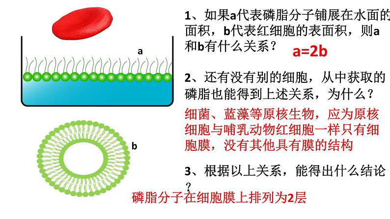 高中生物专题7.1 细胞膜和细胞核-2021年高考生物一轮复习知识精讲课件第6页