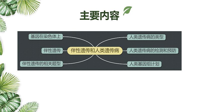 高中生物专题08 伴性遗传和人类遗传病-2021年高考备考生物一轮复习课件第2页