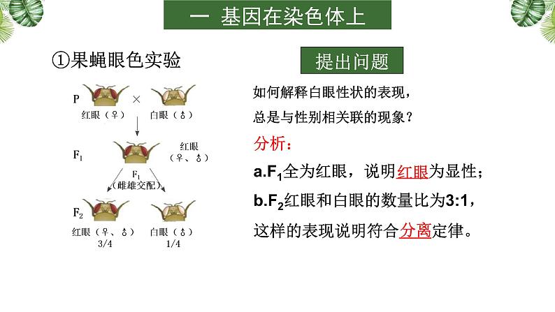 高中生物专题08 伴性遗传和人类遗传病-2021年高考备考生物一轮复习课件第8页